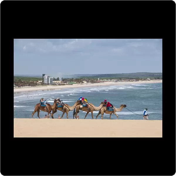 Camel riding in the famous sand dunes of Natal, Rio Grande do Norte, Brazil, South America