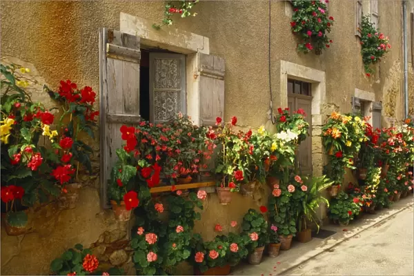 Exterior of a Rustic House Covered with Flowers, Landes, Aquitaine, France