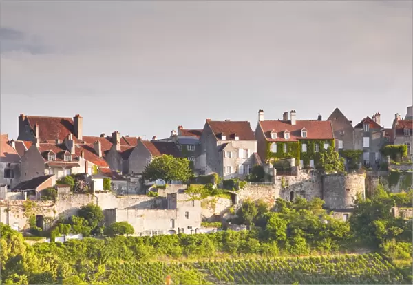 Le Clos Vineyard below the hilltop village of Vezelay in Burgundy, France, Europe