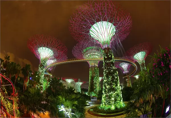 Supertrees in the Supertrees Grove in the Gardens by the Bay, Singapore, Republic