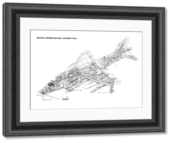 BAe Sea Harrier FRS1 Cutaway Drawing