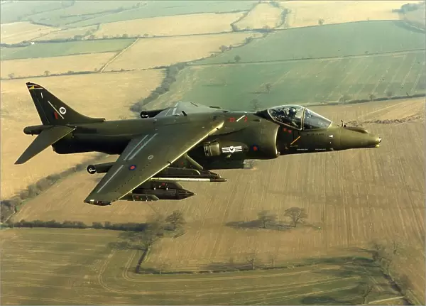 BAE Sea Harrier, 0015
