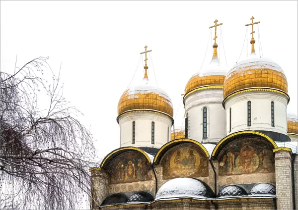 Domes of the Assumption Cathedral in Kremlin, Moscow, Russia