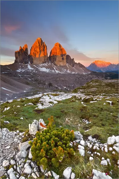 Three peaks of Lavaredo, Dolomites, Italy. The early morning colors the three peaks