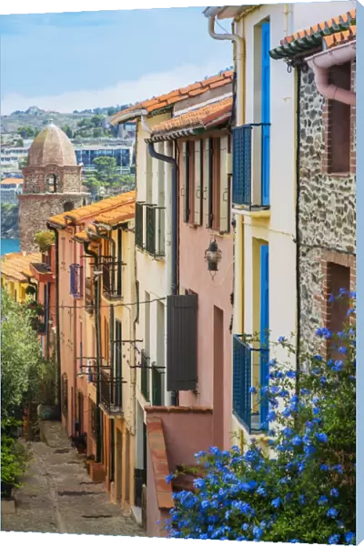 Old town street, Collioure, Languedoc-Roussillon, France