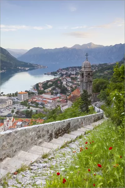 Elevated view over Kotors Stari Grad (Old Town) and The Bay of Kotor, Kotor, Montenegro
