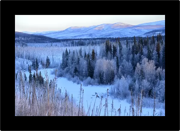 Winter landscape along the Steese Highway, Fairbanks, Alaska, USA