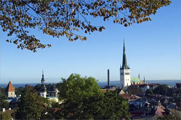 Panoramic City View of the City Wall Towers and St Olav Church