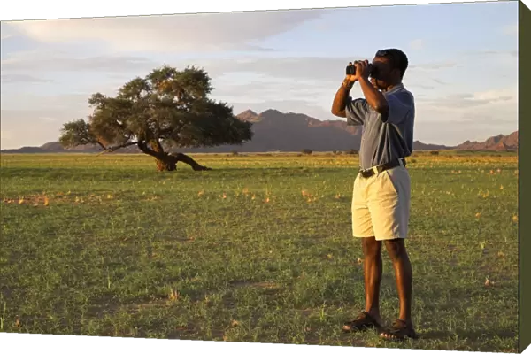 A safari guide scans the horizon with his binoculars