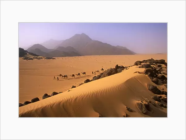 Camel Caravan in Niger, Tenere Desert