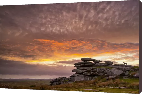 The Cheesewring at Sunset, Bodmin Moor, Cornwall, England