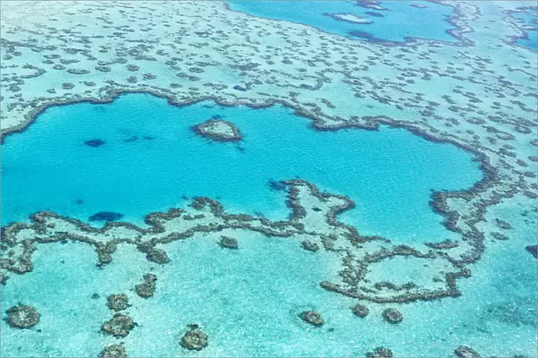 Heart reef in the Great Barrier Reef from above, Queensland, Australia