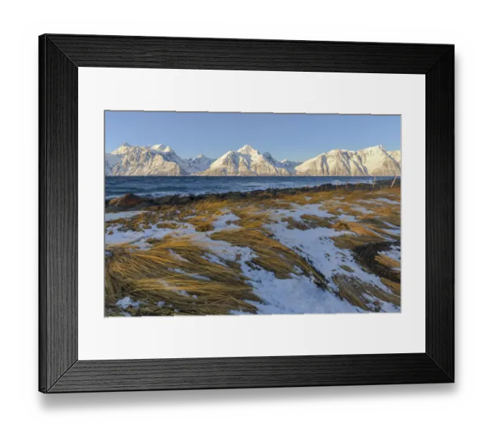 Framed Print : Print of the wind shaking dry grass in sunlight, Spaknesora naturreservat Framed Print : Print of the wind shaking dry grass in sunlight, Spaknesora naturreservat