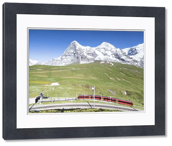 The Wengernalpbahn rack railway runs across meadows and snowy peaks Wengen Bernese