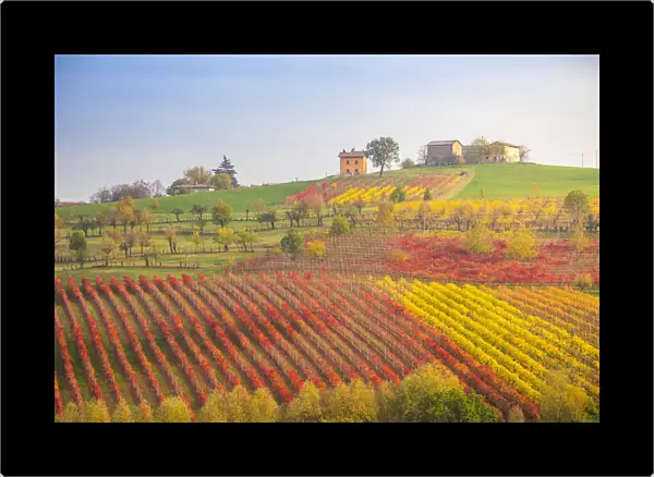 The countryside near Castelvetro, Modena Province, Emilia Romagna, Italy