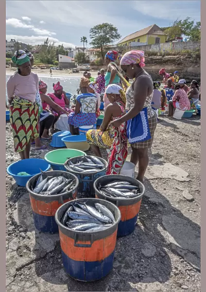 africa, Cape Verde, Santiago. Market-women buying fresh fish in Tarrafal