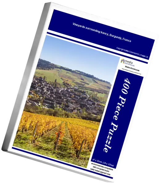 Vineyards surrounding Irancy, Burgundy, France