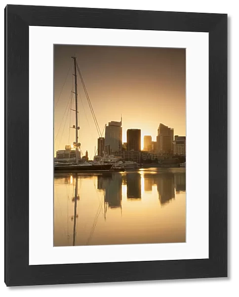 Viaduct Harbour at dawn, Auckland, North Island, New Zealand