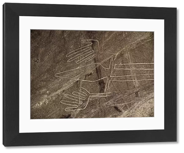 The Lizard Geoglyph, aerial view, Nazca, Ica Region, Peru