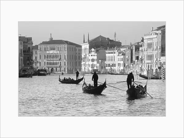 Gondoliers on the Gran Canal, Venice, Veneto region, Italy