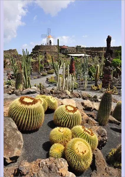 Jardin de Cactus (Cesar Manrique). Lanzarote, Canary islands