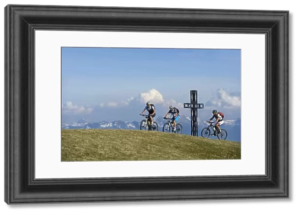 Mountain biker on Monte Roen, Wine Route, Tramin, South Tyrol, Italy, Europe
