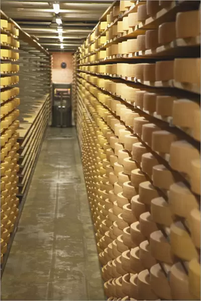 Gruyere cheese in cellar at La Maison du Gruyere, Gruyeres, Fribourg, Switzerland