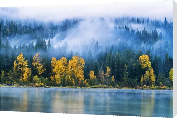Low Mist and Autumn Trees Reflecting in Lake Wenatchee, Wenatchee National Forest