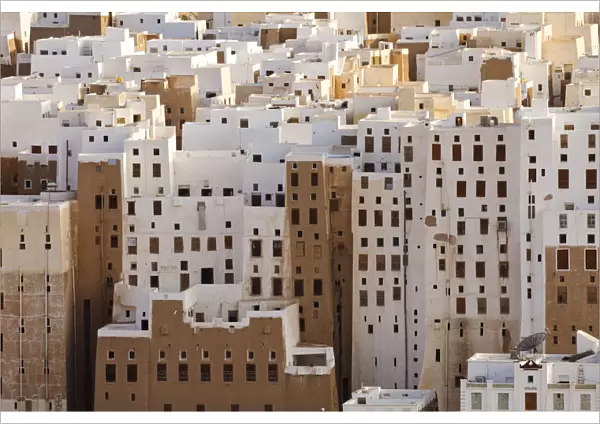Yemen, Hadhramaut, Shibam. The mud-built skyscrapers of Shibam, often referred to