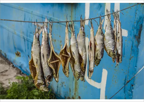 Armenia, Lake Sevan, Sevan, fish shacks selling smoked fish