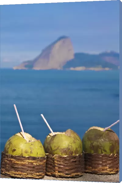 Brazil, Rio De Janeiro, Niteroi, Coconut drinks with Sugar Loaf in the background