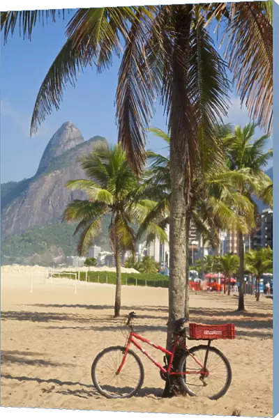 Brazil, Rio De Janeiro, Leblon beach, Bike leaning on palm tree