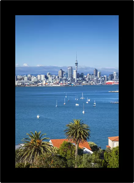 View of Auckland skyline from Devonport, Auckland, North Island, New Zealand