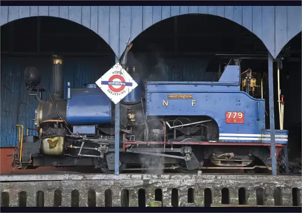 India, West Bengal, Darjeeling, Darjeeling Train station, Steam Toy Train