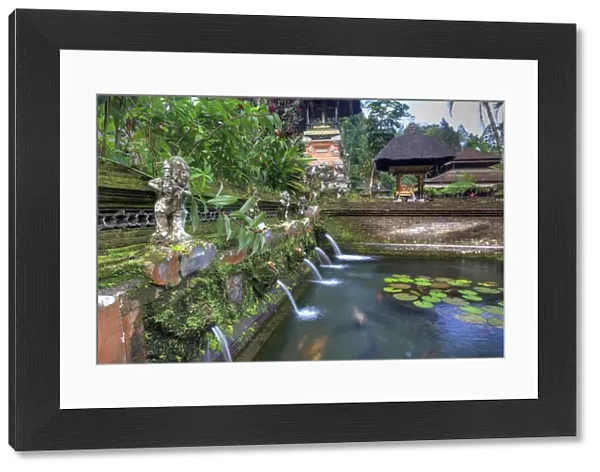Indonesia, Bali, the Holy Springs at Pura Gunung Kawi Sebatu Temple