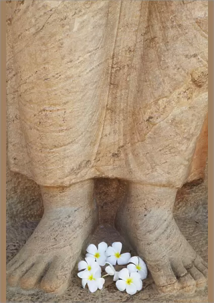 Frangipani flowers at feet of statue of Parakramabahu, Southern Ruins, Polonnaruwa
