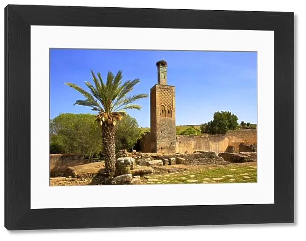 The Ruins of Chellah with Minaret, Rabat, Morocco, North Africa