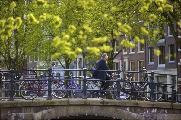 Cyclist, Amsterdam, Netherlands