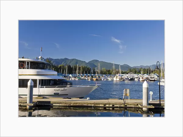 Yachts moored in Coal Harbour, Vancouver, British Columbia, Canada