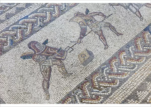 England, West Sussex, Bignor, Bignor Roman Villa, The Venus Room, Mosaic depicting