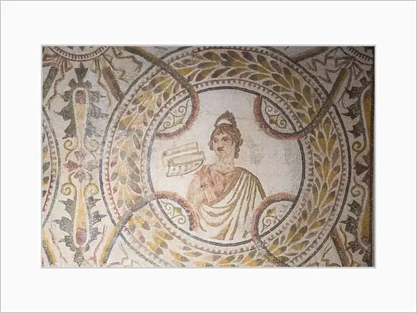Tunisia, El Jem, Mosaics at Archaeology musuem