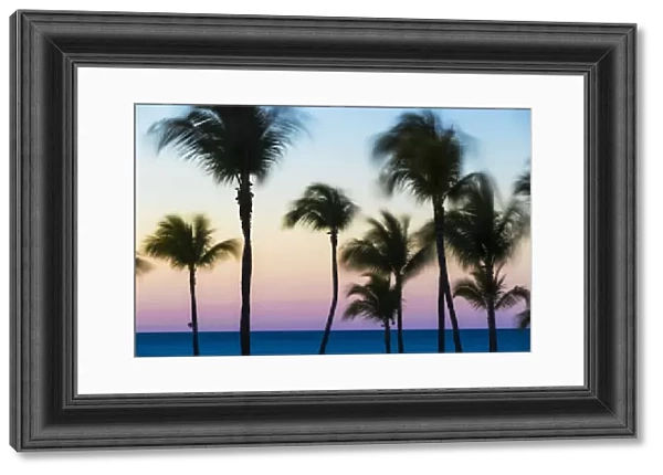 Cuba, Varadero, Palm trees on Varadero beach at sunset