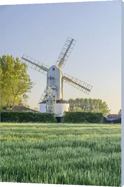 UK, England, Suffolk, Saxtead Green, Saxtead Green Windmill