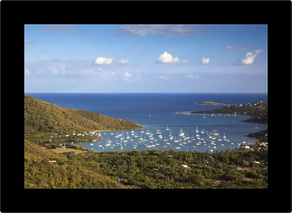 Caribbean, US Virgin Islands, St. John, Virgin Islands National Park, Coral Bay
