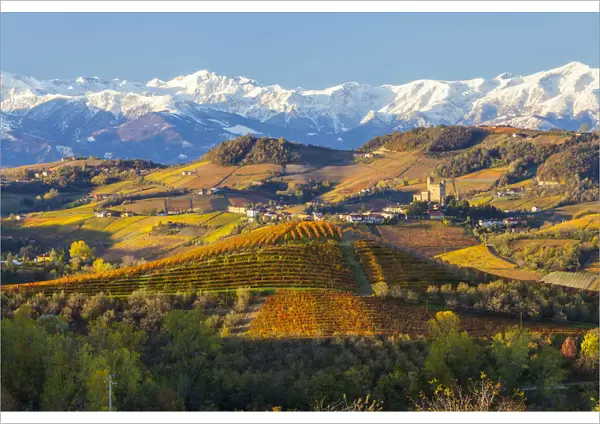 Vineyards & castle, Grinzane Cavour, Cuneo district, Langhe, nr Alba, Langhe