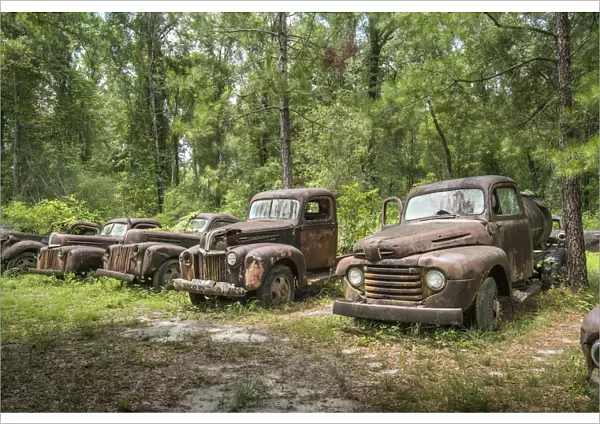 USA, Florida, Crawfordville, Wakulla County, Ford Truck Collection, Big Bend Scenic Byway