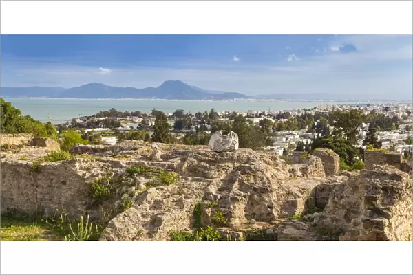 Tunisia, Tunis, Carthage, Byrsa Hill, Punic Ruins