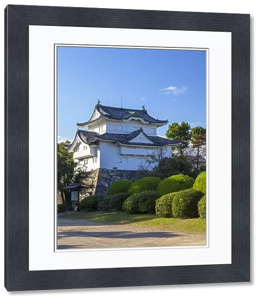 Nagoya Castle, Nagoya, Japan