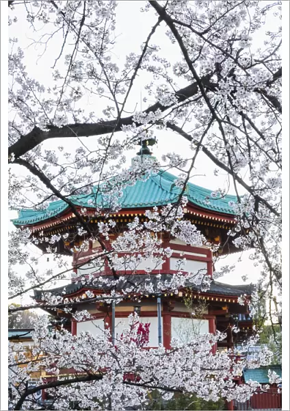Japan, Honshu, Tokyo, Ueno, Ueno Park, Shinobazu Pond, Bentendo Temple