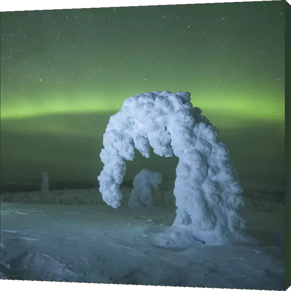 Riisitunturi in winter with Aurora Borealis, Kuusamo, Lapland, Finland
